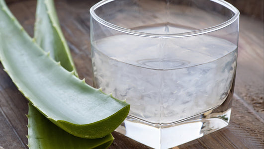 Aloe Vera Benefits
