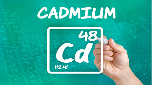 Cadmium Toxicity
