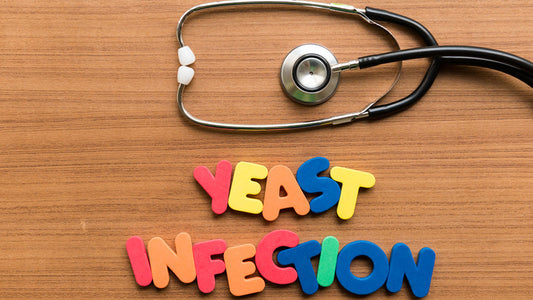 Candida Albicans - Yeast