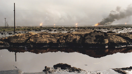 Depleted Uranium, Anthrax Vaccine and the Gulf War Syndrome