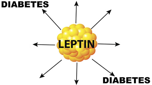Diabetes and Leptin Connection