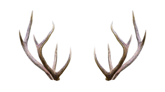 Elk Antler Velvet Rheumatoid Arthritis Study