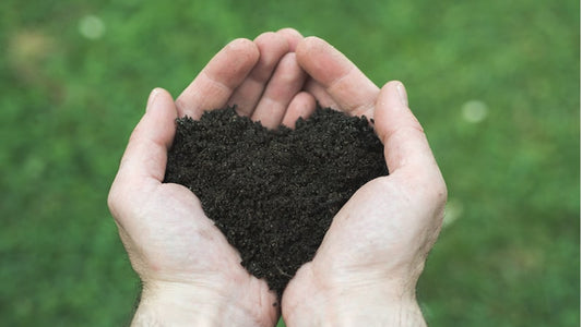 Fulvic Acid: Senate Report