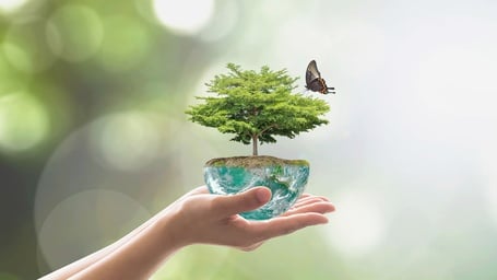 Ozone Effects on the Human Body