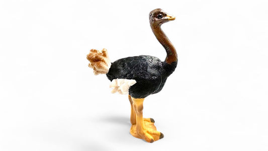 History of Ostrich Products