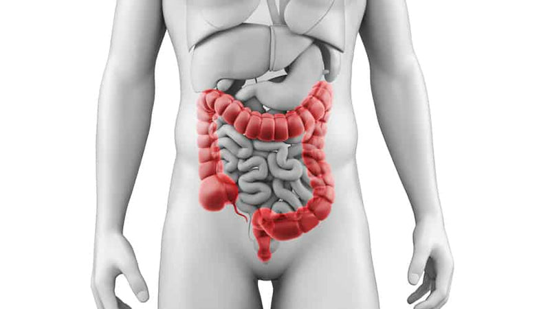 Leaky Gut Syndrome: Cabot