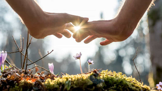 Life Energies and Our Environment