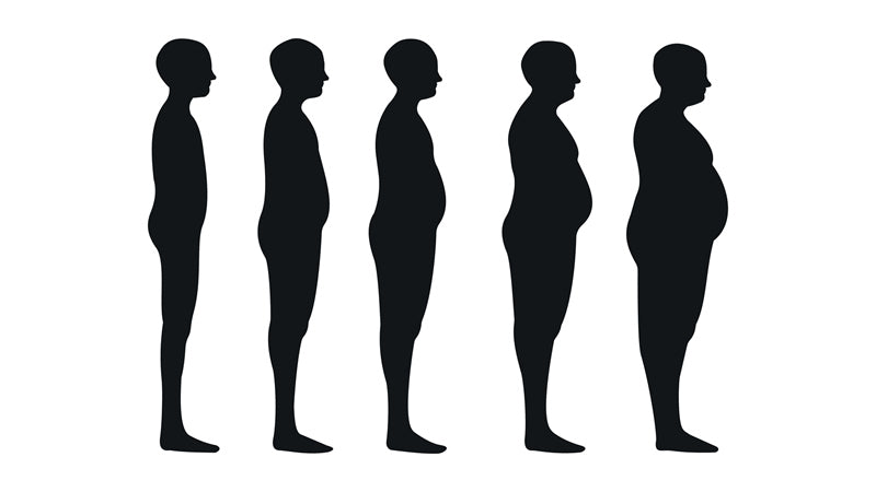 Lipase and Fat Metabolism