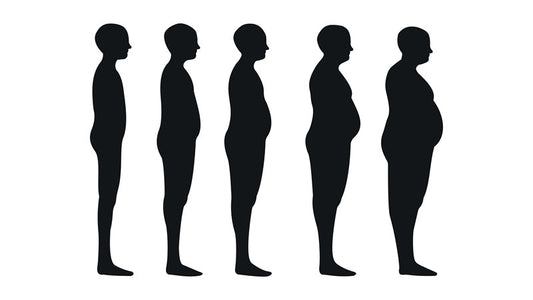 Lipase and Fat Metabolism