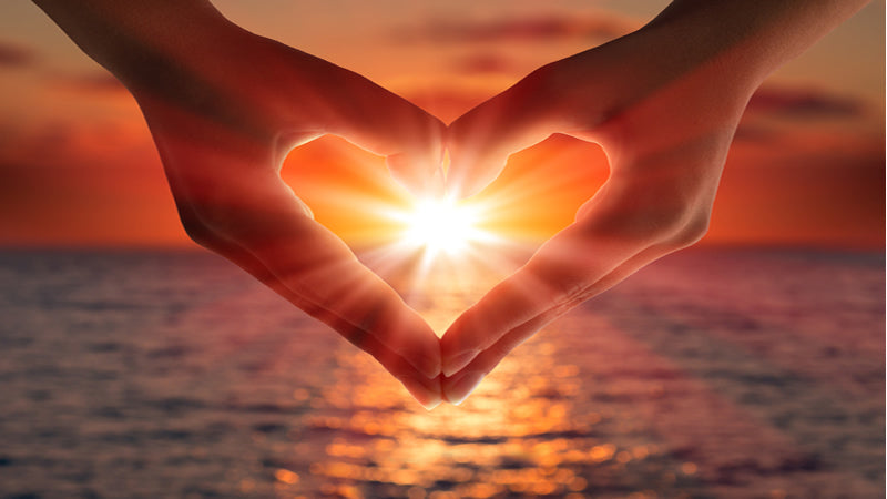 Love and Light: Source of Life