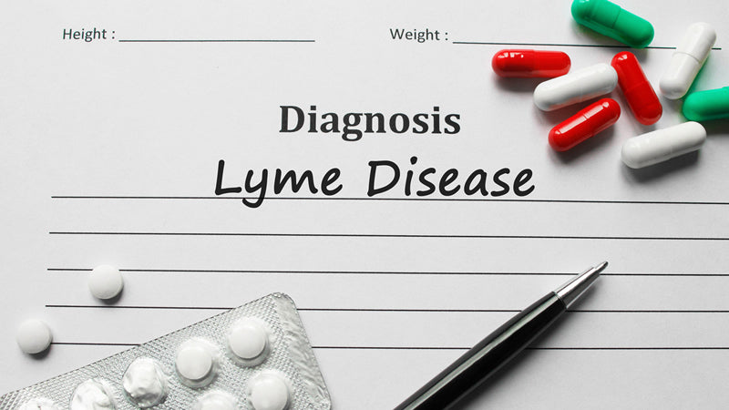 Lyme Disease Treatment