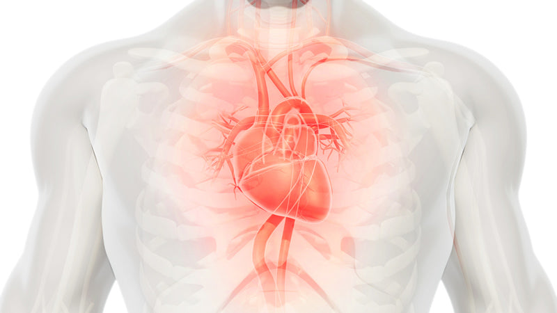 Magnesium: Evidence of Effects