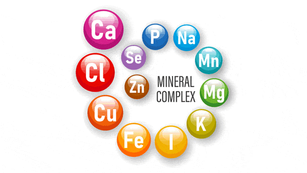 Mineral Supplements are Necessary for Health