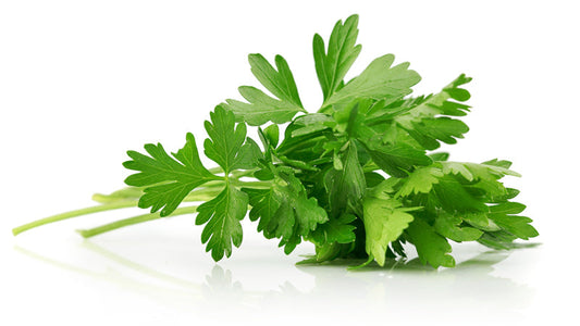 Parsley