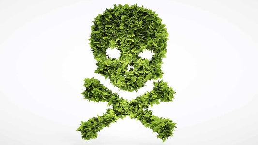 Pesticide Health Dangers