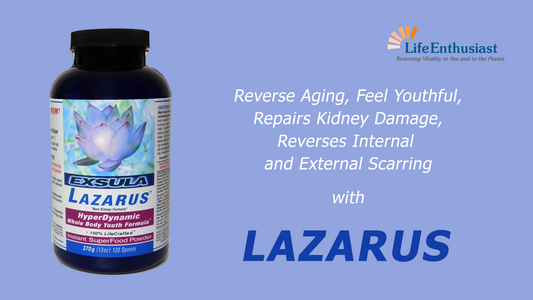 Podcast 356: Lazarus