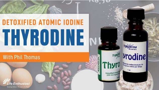 Podcast 444: Thyrodine