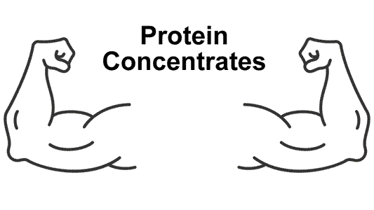 Protein Helps Fat Loss and Muscle Building