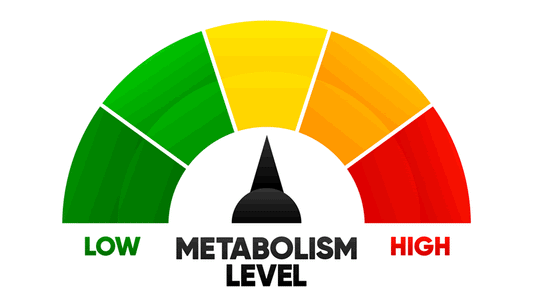 Secrets of Metabolism