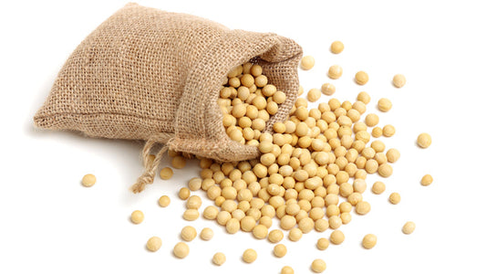 Spilling the Beans on Soy