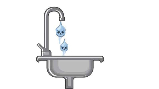 Systemic Effects of Fluoridation (pdf)