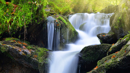 Water by Tim O'Shea - Part 2