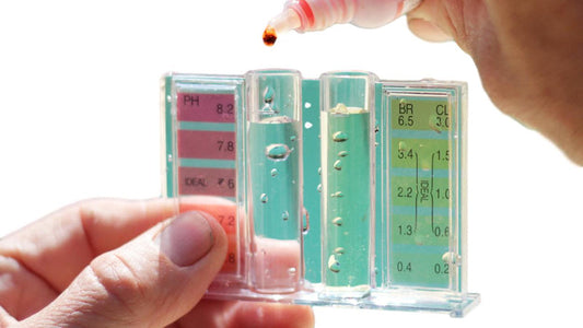 pH Regulatory System Indepth